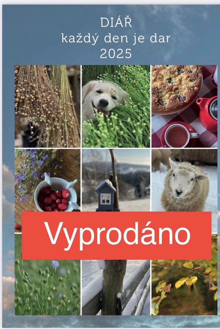 Diář “každý den je dar”